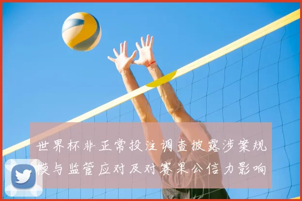 世界杯非正常投注调查披露涉案规模与监管应对及对赛果公信力影响